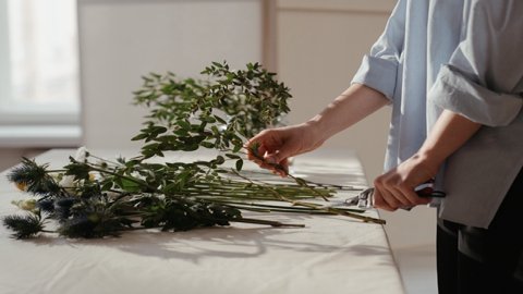 墨西哥rfc公司注冊條件是什么？ 企業(yè)如何申請rfc稅號？