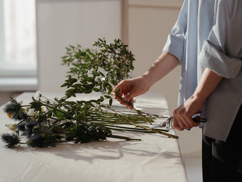 一站式中國商標(biāo)注冊服務(wù)，全程代辦更省心